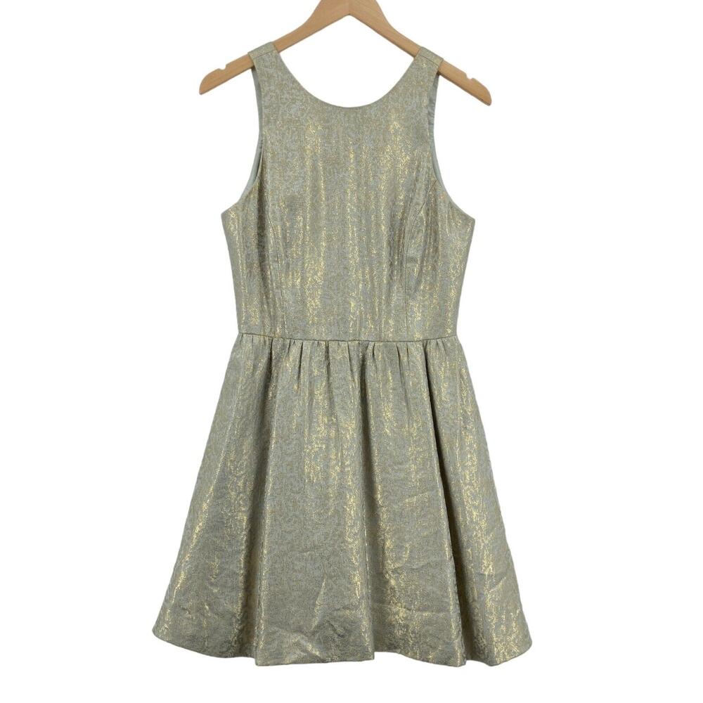 Alexandra Grecco Women's Gray & Gold Metallic Back Zip Fit & Flare Dress Size 8